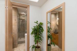 uma casa de banho com um chuveiro e um vaso de plantas em Phaedrus Living: The Emerald Studio em Atenas
