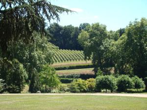 a view of a field with trees and bushes at Logis Dans La Place Appartement in Thouarcé