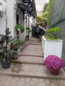 a walkway with potted plants and flowers at White house parc Carol in Bucharest