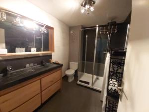 a bathroom with a sink and a shower and a toilet at Le Patio de Luchon in Luchon