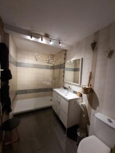La salle de bains est pourvue d'un lavabo, d'un miroir et de toilettes. dans l'établissement Le Patio de Luchon, à Luchon