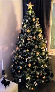 a christmas tree with a black cat under it at Arctic Circle Home in Rovaniemi