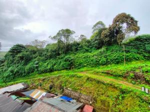 a green hill with a house on a roof at Munnar Kaippalli Budget Homestay in Munnar