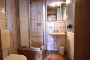 a bathroom with a shower and a toilet and a sink at Almliesl GAST-462 in Bad Hofgastein