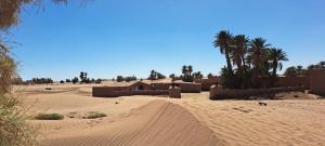 姆哈米德的住宿－Camp M'hamid Ras N'khal，一片棕榈树的沙漠和远处的一座建筑