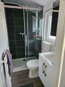 La salle de bains est pourvue d'une douche, de toilettes et d'un lavabo. dans l'établissement Pension Quellenhof, à Wegberg