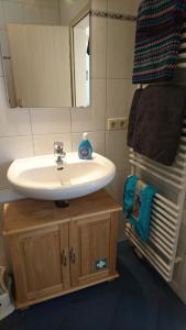 La salle de bains est pourvue d'un lavabo et d'un miroir. dans l'établissement Hinterbauernhof Fewo Pferdeglück, à Stegen