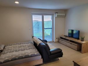 uma sala de estar com um sofá e uma televisão de ecrã plano em Apartmán Neva Galanta em Galanta