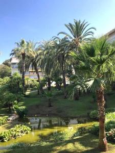 einen Park mit Palmen und einem Teich in der Unterkunft La Petite Suite in Cannes