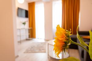 Hotel Cantemir في بوخارست: مزهرية مع عباد الشمس على طاولة في غرفة المعيشة
