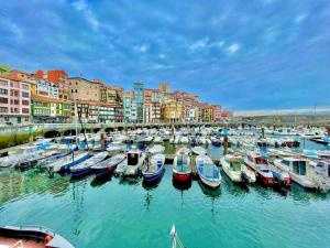 a bunch of boats are docked in a harbor at Martin Deuna Etxea- Piso en zona residencial in Bermeo
