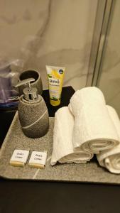 - un comptoir de salle de bains avec des serviettes et une bouteille de dentifrice dans l'établissement Tesla's Corner, à Zagreb