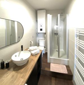 uma casa de banho com um lavatório e um chuveiro em LE LOFT ESTIENNE D'ORVES em Marselha