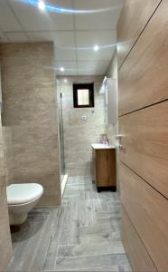 een badkamer met een toilet en een wastafel bij MB Apartmani in Kopaonik