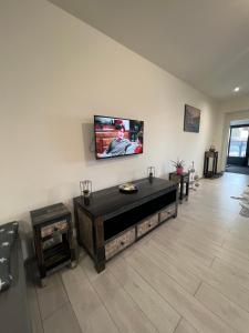TV a/nebo společenská místnost v ubytování Apartmány Pískovna Assen