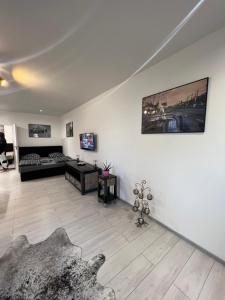 TV a/nebo společenská místnost v ubytování Apartmány Pískovna Assen