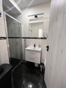 uma casa de banho branca com um lavatório e um chuveiro em Apartmány Pískovna Assen em Ostrava