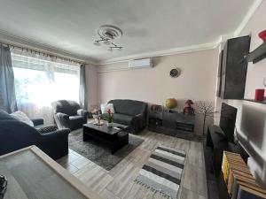 - un salon avec un canapé et une télévision dans l'établissement Estina House, à Balatonboglár