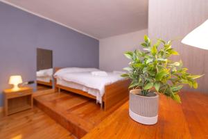 una camera con due letti e una pianta in vaso di Boulevard 63 - Corso Vittorio Emanuele a Campobasso