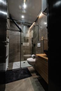 un bagno con doccia, WC e lavandino di Soba za noćenje Tončica a Požega