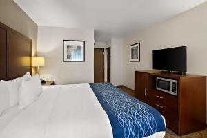 a hotel room with a bed and a flat screen tv at Comfort Inn Lacey - Olympia in Lacey