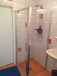 a bathroom with a shower with a bird on the wall at Apartment Zus en Zo in Uffelte