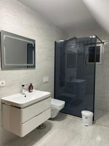 a bathroom with a sink and a shower and a toilet at Villa Ozoni - Jezerc in Ferizaj