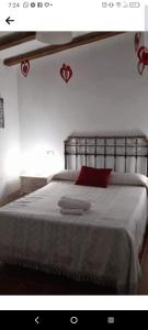 コルドバにあるLas Solanas del Pilarのベッドルーム1室(大型ベッド1台、赤い枕付)