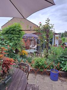 um jardim com um banco e plantas e um guarda-sol em The Prince of Wales em Huntingdon