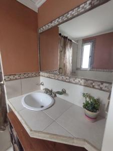 a bathroom with a sink and a mirror at DEPARTAMENTO UMARDA in Tandil