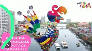 un póster para un carnaval con un pollo en el agua en Melhor localização Recife até 8 pessoas, en Recife