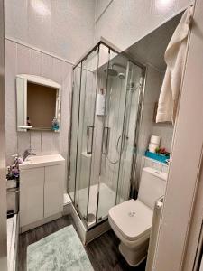 La salle de bains est pourvue d'une douche, de toilettes et d'un lavabo. dans l'établissement Apart Bernard Rooms, à Édimbourg