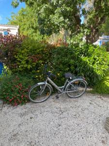 a bike parked on the gravel next to some bushes at les pins marittime in Hyères