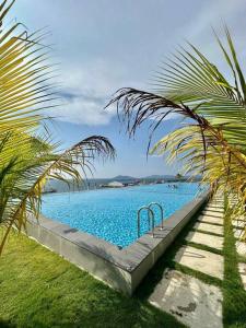 a large pool with blue water and a palm tree at CC Suites Jesselton Quay - Seaview - 2Bedroom in Kota Kinabalu