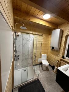 a bathroom with a shower and a toilet at Apartamenty pod Witoszą in Staniszów +36 photos