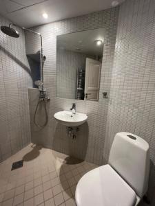 a bathroom with a toilet and a sink and a mirror at Outhentic Apartment in Copenhagen