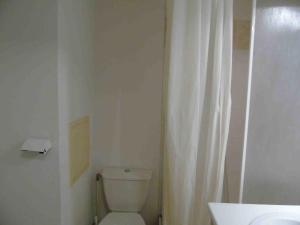 a bathroom with a toilet and a white shower curtain at Appartement Valfréjus, 3 pièces, 8 personnes - FR-1-561-59 in Valfréjus