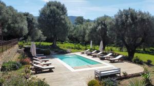 - une piscine entourée de chaises longues et de chaises dans l'établissement Domaine de Tappa - Casa Filicina, à Sollacaro