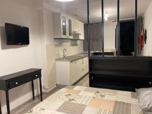 a room with a kitchen with a sink and a tv at Studio AIX LES BAINS in Aix-les-Bains