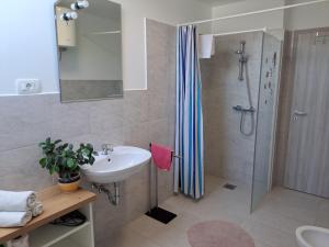 a bathroom with a sink and a shower at Bukor Apartments in Lukovica pri Domžalah