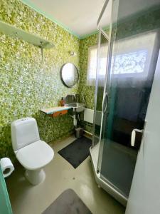 een badkamer met een toilet, een douche en een wastafel bij Flakstad Beach Panorama Lofoten in Ramberg