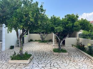 a group of trees in a courtyard with a stone floor at Kika Residence in Argostoli