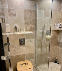 a bathroom with a glass shower with a toilet at Le Chappart de Valberg - en plein centre in Péone