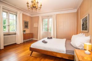 a bedroom with a bed and a chandelier at Beautiful Villa in the Heart of Basel in Basel
