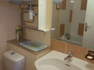 bagno con servizi igienici, lavandino e specchio di Studio Piau-Engaly, 1 pièce, 4 personnes - FR-1-457-194 ad Aragnouet