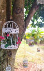 Gallery image of Terrazzo Suites in Capitólio