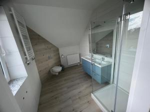 ein Bad mit einem Waschbecken und einer Glasdusche in der Unterkunft Agroturystyka Kraina Choszcza in Choszczno