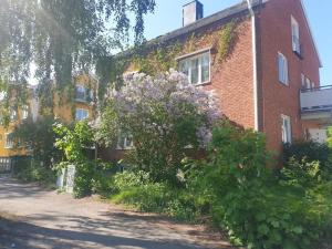 Κήπος έξω από το Central house for the whole team