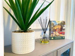 a plant in a white pot sitting on a table at Elegant apartment in city center by HNFC Stays in Newcastle upon Tyne