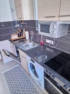 a kitchen with a sink and a washing machine at Apartments bei Marienplatz in Stuttgart